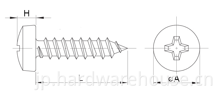 Drawing Self Tapping Screw Phillips Drive D7981